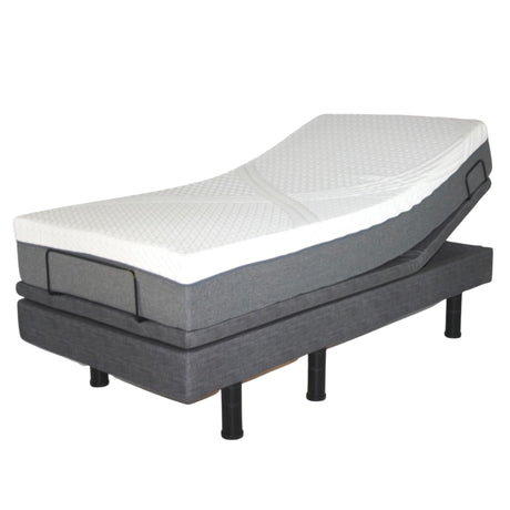 Golden Passport Hi-Low Adjustable Bed - Twin XL