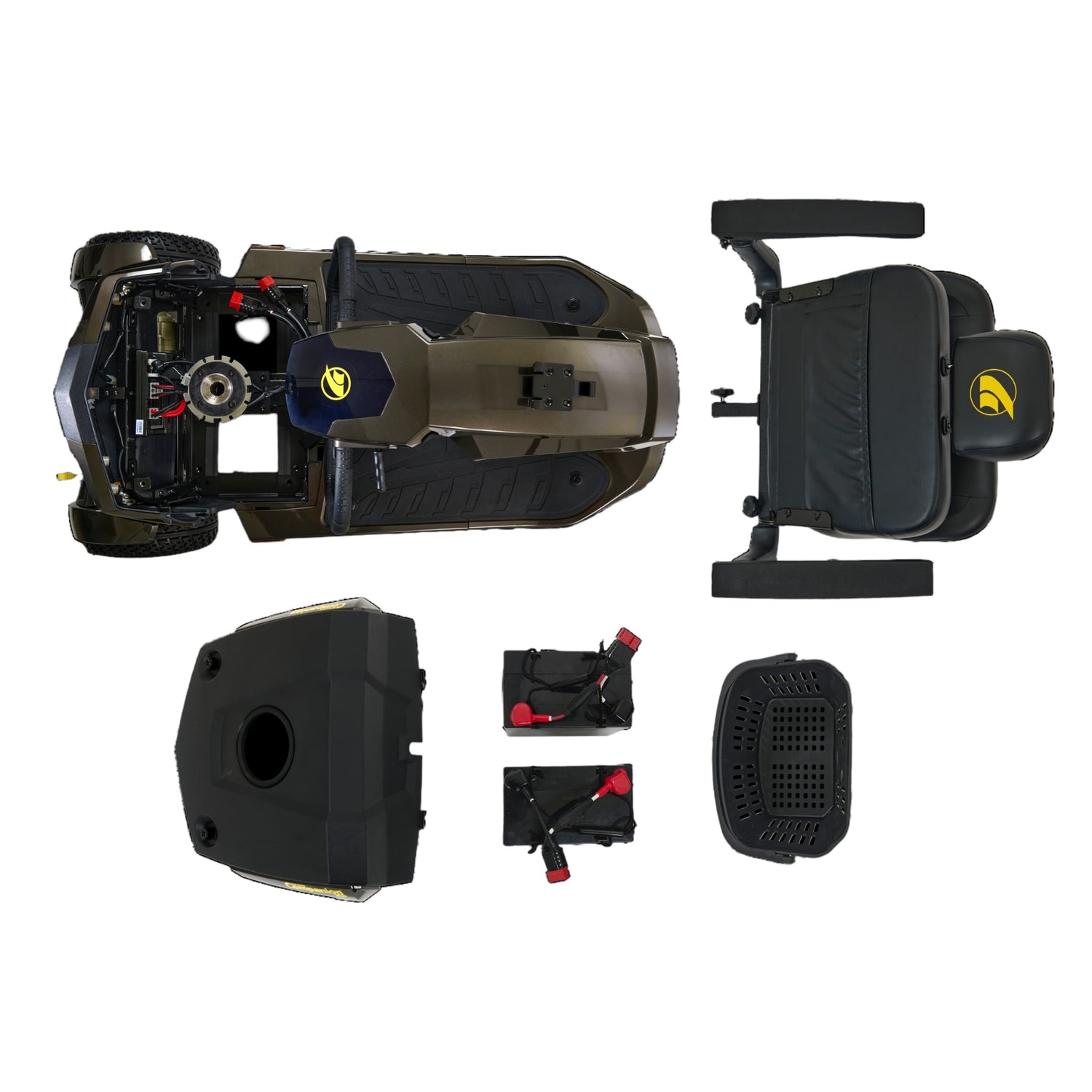 Golden Companion HD disassembled