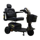 Golden Companion HD grey